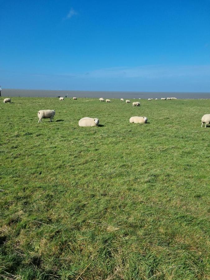 Meerblick Wattenmeer ,50M Vom Meer,Strand 300M Westerland 외부 사진